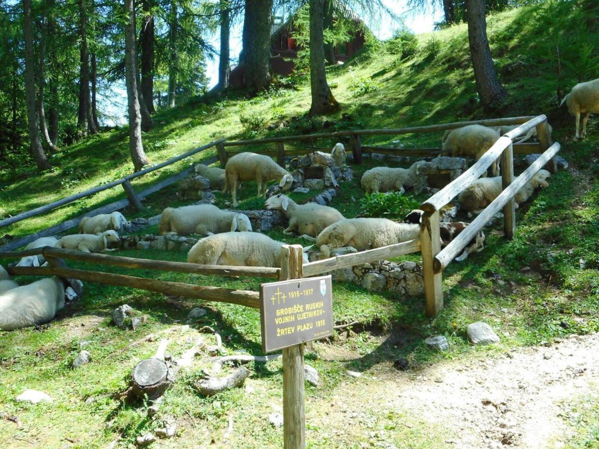 Erjavceva Mountain Hut At Vrsic Pass Ξενοδοχείο Kranjska Gora Εξωτερικό φωτογραφία