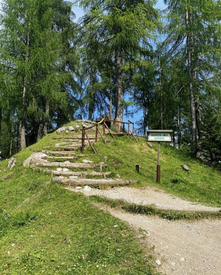 Erjavceva Mountain Hut At Vrsic Pass Ξενοδοχείο Kranjska Gora Εξωτερικό φωτογραφία